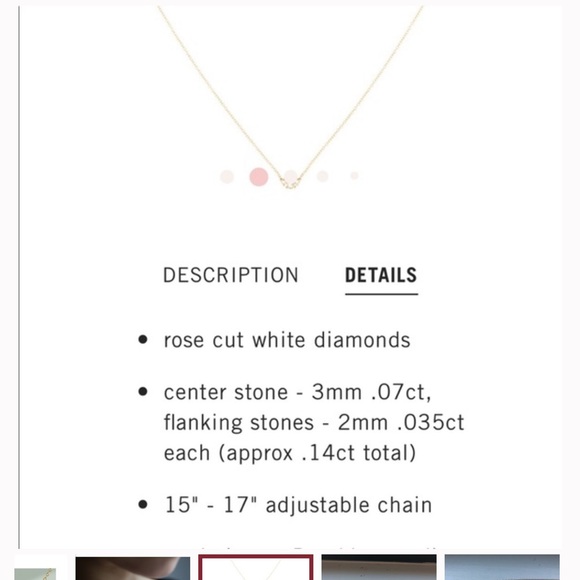 Catbird Sleeping Beauty 14K Rose Gold Necklace - Picture 6 of 14